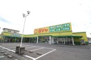 タマヤ 豊成店(スーパー)まで815m レクサス　ソレイユ