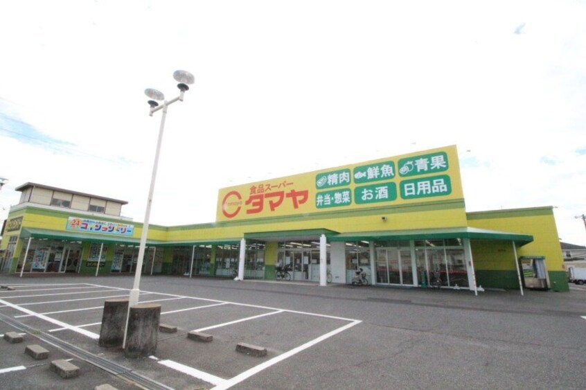タマヤ 豊成店(スーパー)まで322m リッチ・クレールマンション