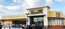 ハピッシュ下中野店(スーパー)まで557m リベールＡ棟