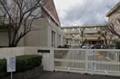 岡山市立伊島小学校(小学校)まで298m サザン　ウィンドウ　C