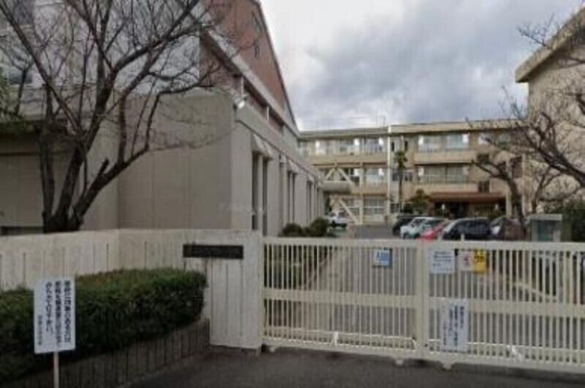 岡山市立伊島小学校(小学校)まで298m サザン　ウィンドウ　C