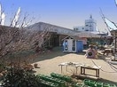 ふたば保育園(幼稚園/保育園)まで977m カーサフィオーレ西市駅前