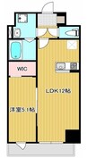 TRINITY 1LDKの間取り
