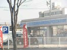 ローソン岡山平野店(コンビニ)まで732m シャトル春水　Ｆ棟