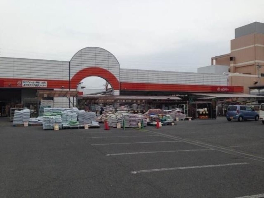 ホームセンタージュンテンドー津高店(電気量販店/ホームセンター)まで536m confeito