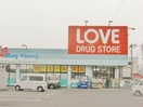 くすりのラブ下中野店(ドラッグストア)まで802m リースランド西市　Ｄ棟