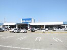 DCMダイキ西条店(電気量販店/ホームセンター)まで809m スカール喜多川　Ｂ棟