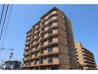 マルイブーゲンビリア