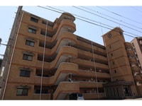 マルイハイビスカス