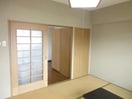  マルイハイビスカス