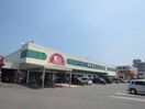 木村チェーン西条店(スーパー)まで351m パンデュール弁財天