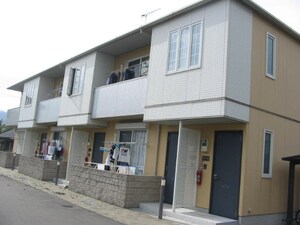 プランドール樹