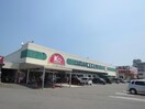 木村チェーン西条店(スーパー)まで365m グランドハイツ西条