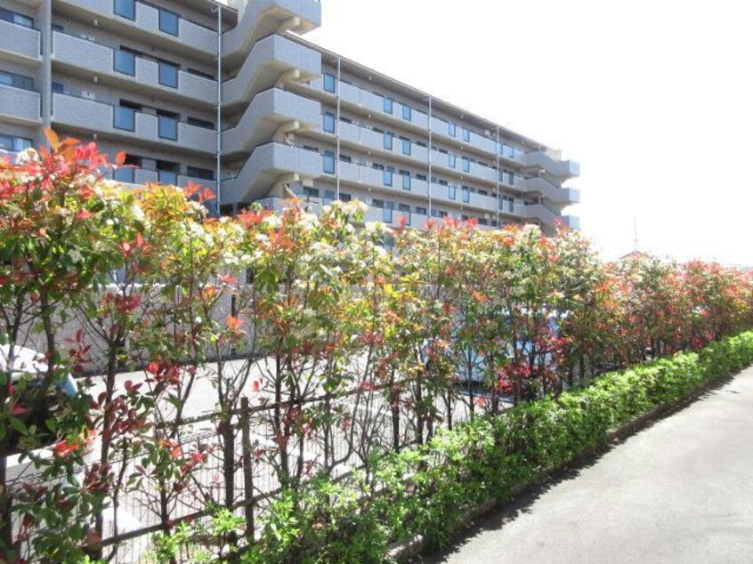  フィネス西条