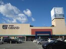 ダイソーフジグラン西条店(ディスカウントショップ)まで698m フィネス西条