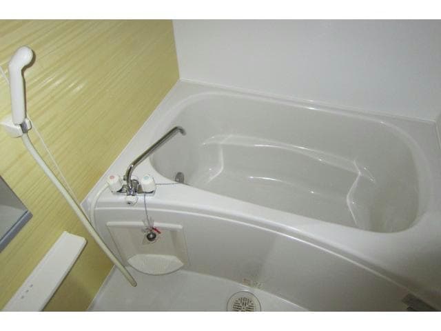  ロータス・ミカド