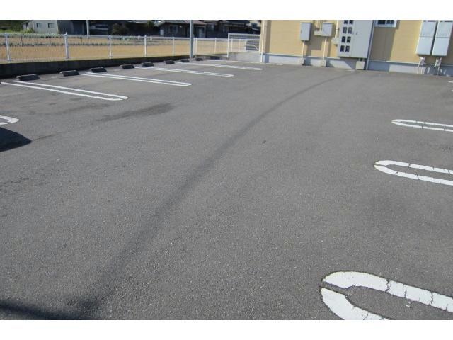  ロータス・ミカド