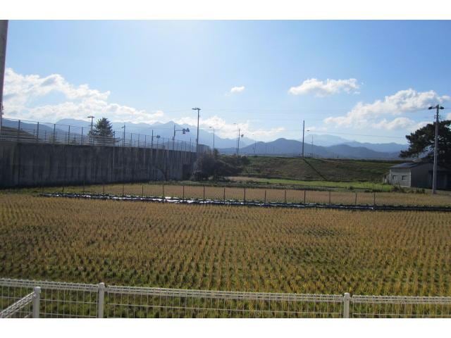  ロータス・ミカド