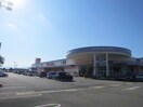 マルナカ西条店(スーパー)まで1410m 常心ハイツ　パートⅡ・Ⅲ・Ⅳ