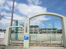 西条市立西条小学校(小学校)まで477m サーパス御殿前通り参番館