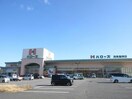 ハローズ西条飯岡店(スーパー)まで539m サンヒルズ共栄