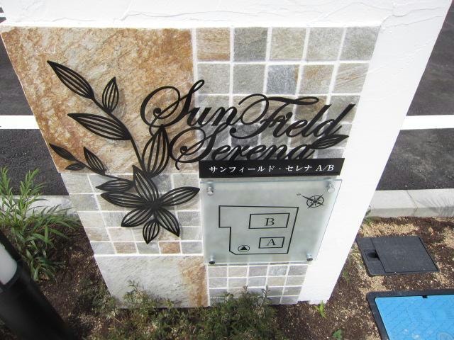  サンフィールド・セレナB