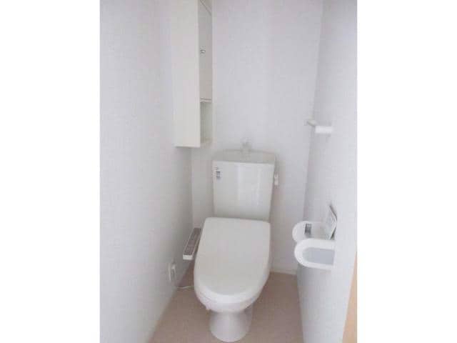  サンフィールド・セレナB