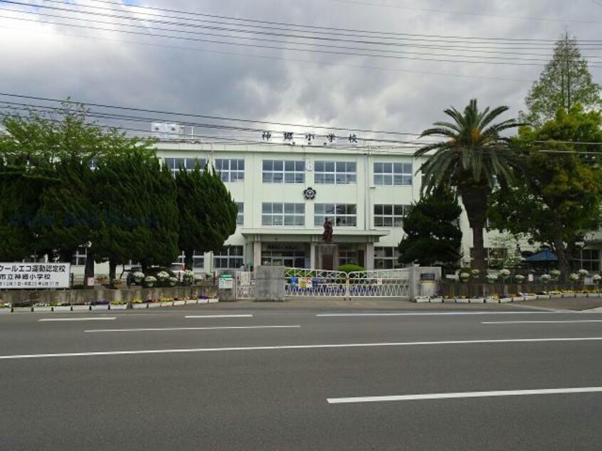 新居浜市立神郷小学校(小学校)まで196m メゾングローバル