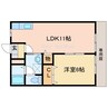 ベリィー・ブラッサム 1LDKの間取り