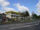 新居浜市立泉川小学校(小学校)まで1617m コスモス