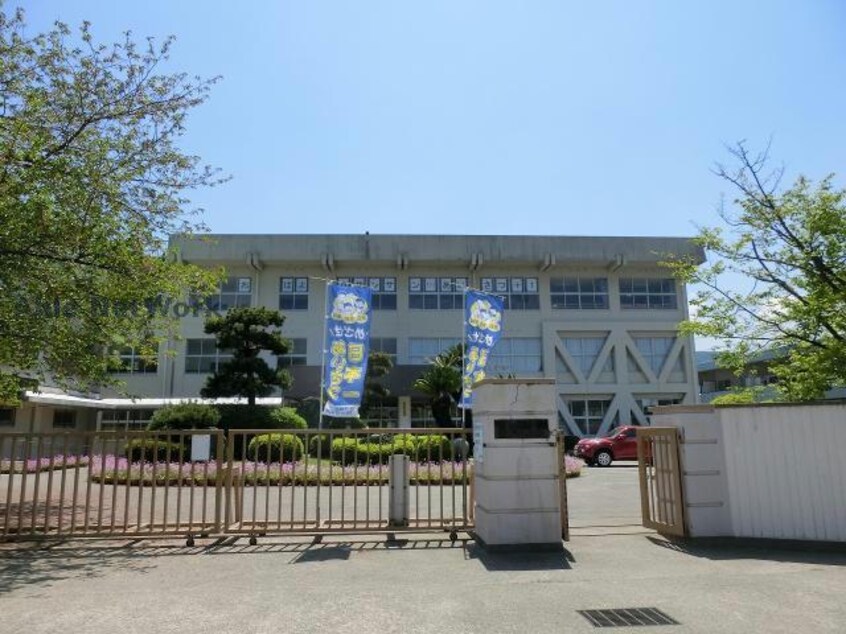 新居浜市立金子小学校(小学校)まで1429m グレイスフル庄内