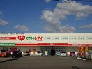 くすりのレデイ新居浜中央店(ドラッグストア)まで475m ビューハイツ