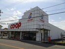 コープ宇高(スーパー)まで745m 岡村アパート