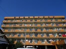第五越智マンションの外観