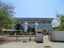 新居浜市立金子小学校(小学校)まで493m アマービレ