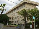 新居浜市立高津小学校(小学校)まで937m フォーレス沢津