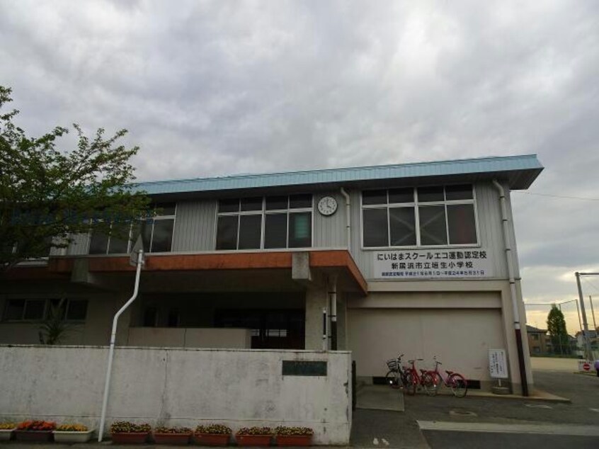 新居浜市立垣生小学校(小学校)まで500m Grace.K