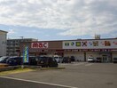 mac松原店(ドラッグストア)まで1228m カーサ・フェリーチェTK1