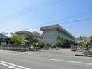 新居浜市立惣開小学校(小学校)まで729m 秦ハイツ