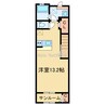 グラシオッソ坂井Ⅲ 1Rの間取り