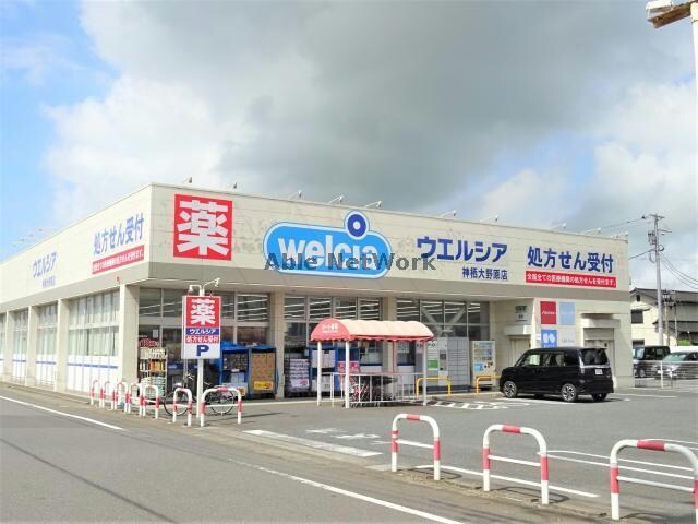 ウエルシア神栖大野原店(ドラッグストア)まで1114m 谷藤荘