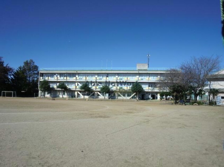 鹿嶋市立鹿島小学校(小学校)まで2181m ナチュラルコート