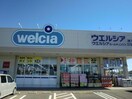 ウエルシア鹿嶋プラザ店(ドラッグストア)まで977m さくらメイト