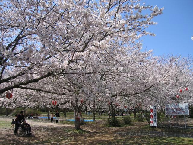 鹿島城山公園(公園)まで2743m フォレストヒル勇Ａ