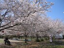 鹿島城山公園(公園)まで2743m フォレストヒル勇Ａ