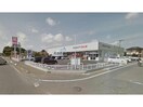 ウエルシア鹿嶋宮津台店(ドラッグストア)まで360m パルテール