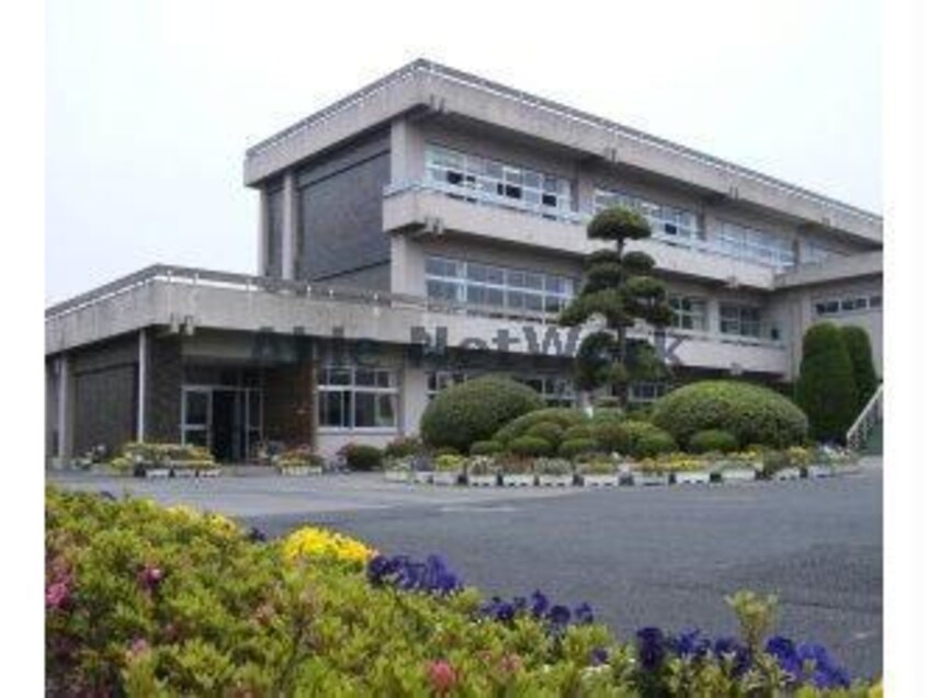 鹿嶋市立鹿島中学校(中学校/中等教育学校)まで1211m ペティハウスＳｅｌｅｎｅ