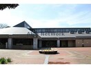 鹿嶋市立中央図書館(図書館)まで1443m ペティハウスＳｅｌｅｎｅ