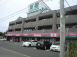 スカイヴァレイ