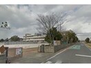 神栖市立太田小学校(小学校)まで1991m サンライズハイツ（若松中央）